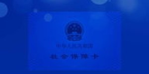 如何使用成都社保自助平台？探秘经办服务的高效自助体验