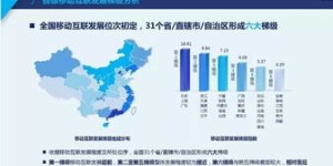 在众多互联网项目中，哪一种最具盈利潜力？