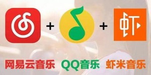 如何使用网易云会员自助平台？探秘其核心功能与服务优势