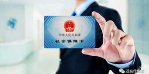 如何使用社保卡自助查询网站进行个人信息查询？