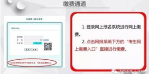 如何使用护师专属的网上自助缴费平台进行便捷缴费？