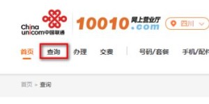 如何使用手机卡自助开卡平台？探索便捷开卡新方式