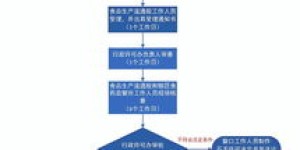 如何一步步掌握茶叶副业加工流程？详细视频教程带你入门