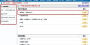 如何使用国税申报自助平台进行高效税务处理？