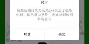 如何使用东莞的核酸自助查询平台？这是否是你的最佳查询选择？