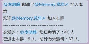 袋鼠跳跳跳如何实现盈利？揭秘赚钱版背后的成功秘诀