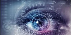 如何使用上海人社自助平台？这是您的指南针吗？