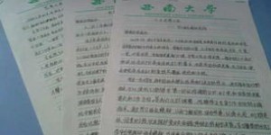 如何在季度思想汇报中探讨副业发展的可行性与意义？