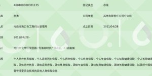 如何使用平安自助卡网站查询系统进行高效查询？