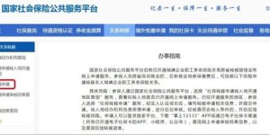 如何使用养老保险自助服务平台，它能为参保者提供哪些服务？