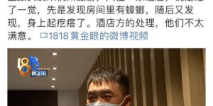 金太郎米范副业究竟是什么？背后隐藏着怎样的商机？