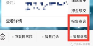 如何使用核酸检测自助攻略平台？一手掌握最新指南与技巧！