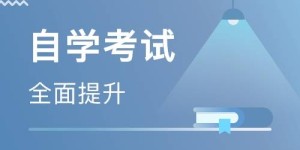 选择自学哪个专业更容易实现高收入？