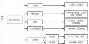 宝马火影副业背后隐藏了什么秘密？你真的了解吗？