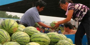 农村打工能否成为男人赚钱的有效途径？