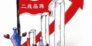 高端白酒品牌如何拓展副业实现盈利增长？