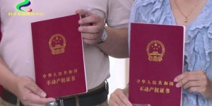 想要开启副业新篇章？我们是否该正式领证了？