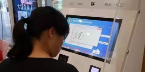 如何使用政务服务自助查询平台进行高效查询？