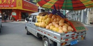 哪个城市摆摊卖水果最赚钱？选对地方收益翻倍！