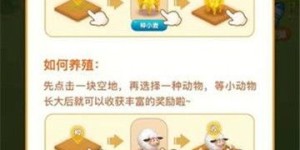 种菜也能成大亨？揭秘赚钱背后的种植秘诀