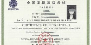 四级证书真能帮你赚大钱吗？揭秘背后的真实收益