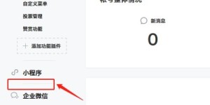 如何在Ins自助购买平台使用微信支付进行交易？