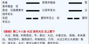 养牛与朝九晚五，哪个更易赚大钱？求解职场与牧场的收益之谜