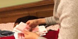 农村宝妈如何兼顾带娃与赚钱？实现家庭事业双赢的秘诀是什么？