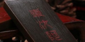 河北东汝阿胶品质如何？其公司实力与发展前景又怎样？