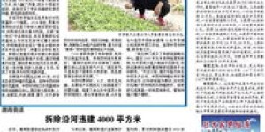 任县如何实现高收入？探寻本地赚钱之道