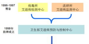 兼职案件审理组究竟承担哪些核心工作职责？