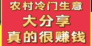 冷门行业真的最赚钱吗？揭开隐藏的财富密码
