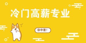 冷门专业中哪一种既易赚钱又值得关注？