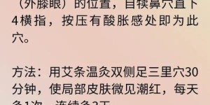 磁疗艾灸贴哪个品牌更优质？哪款磁疗艾灸贴效果更佳？