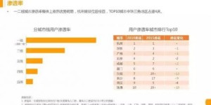 蚂蚁自助平台在快手上的播放量如何？揭秘其流量增长背后的秘密！