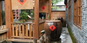 农家乐夜晚经营盈利如何？实景图片展示真相