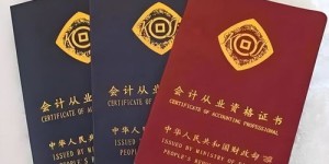高级会计师的实际价值何在？其职业优势有哪些？