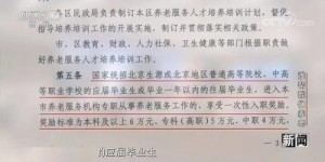 如何成为民政局自助查询业务员？探索岗位职责与技能要求