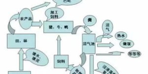 自助餐业务模式包括哪些独特策略，你知道几种？