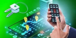 养熊游戏真的能赚钱吗？揭秘其盈利模式和玩法技巧