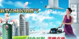 农民如何选择高收益的致富项目？