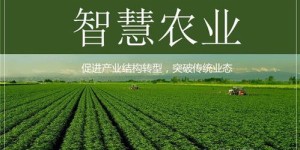 现代农村创业前景如何？发展方向又在何方？
