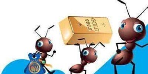 蚂蚁互动自助平台究竟是什么？探秘其功能与优势