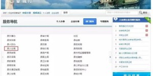 想要了解自助查询网站平台吗？这里有一份全面的介绍指南！