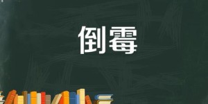 遭遇裁员危机，副业能否成为你的救命稻草？