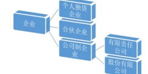 创业选择哪种公司类型能快速盈利？新手必看！