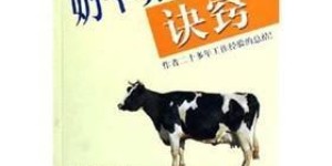 疯狂奶牛如何实现高效盈利？奶牛养殖赚钱秘诀在哪里？