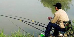 创魔钓鱼机哪种型号收益最高？选择哪款更划算？