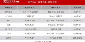 如何在拼多多自助砍刀平台轻松下单？揭秘操作步骤与技巧！