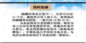 课件配音能否成为高收益副业？你真的了解这门生财之道吗？